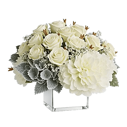 Ivory Blossom Radiance