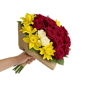 Crimson Rose Elegance