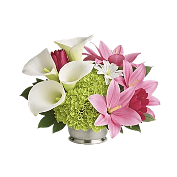 Elegant Calla Lilies