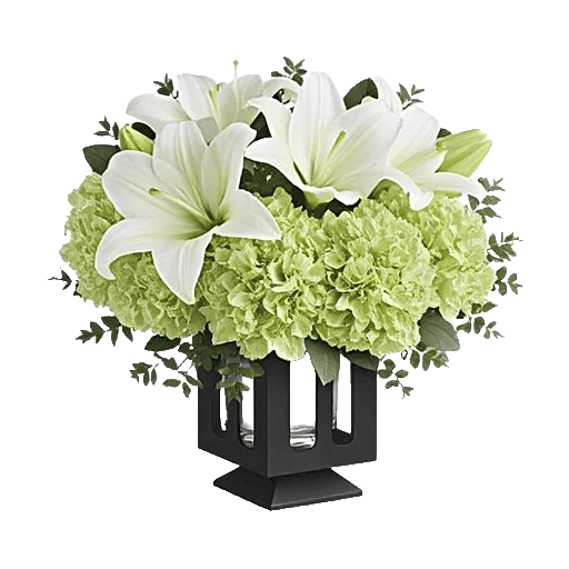 Ivory Blossom Radiance