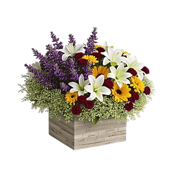 Graceful Lily Display
