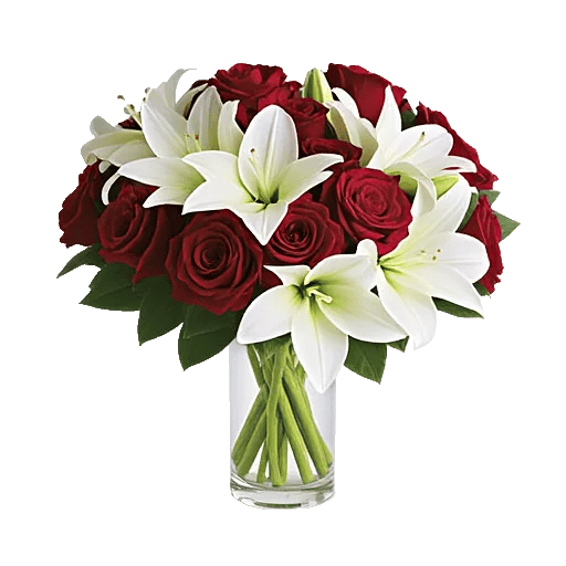 Crimson Rose Elegance