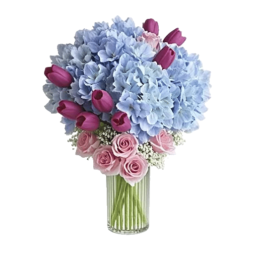 Azure Sky Blooms