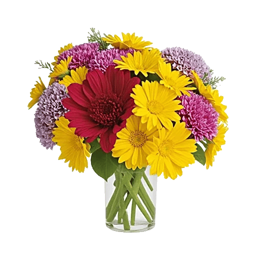 Petal Radiance Bliss