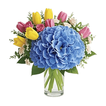 Azure Sky Blooms