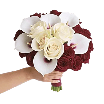 Elegant Calla Lilies