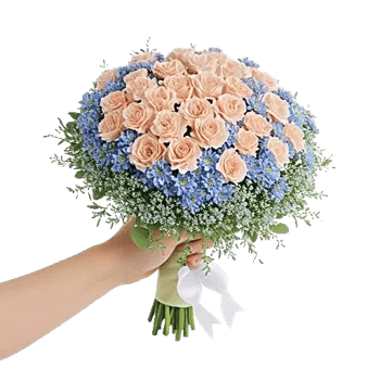 Petal Harmony Bliss