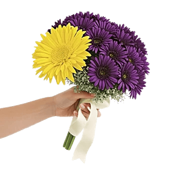 Radiant Bloom Cascade