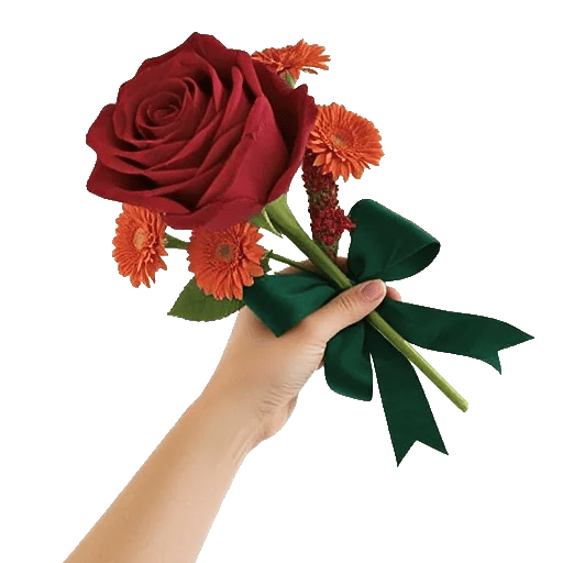 Crimson Rose Elegance