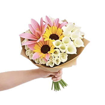 Blossom Harmony Display