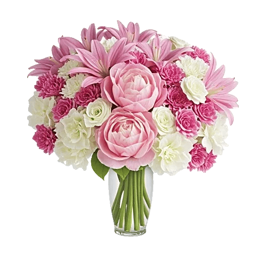 Petal Radiance Bliss