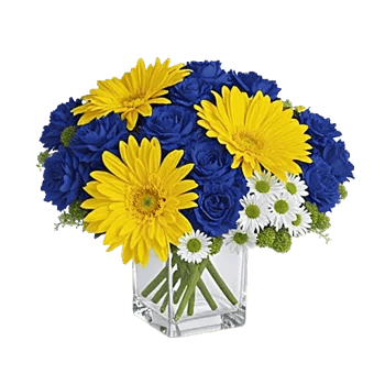 Radiant Bloom Cascade