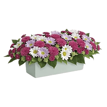 Delicate Petal Cascade
