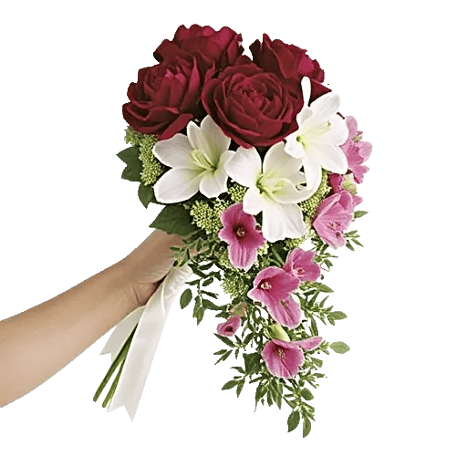 Delicate Petal Cascade