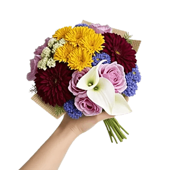 Golden Petal Harmony