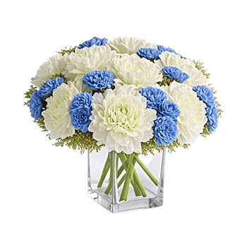 Delicate Petal Cascade