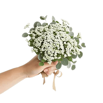 Blossom Radiant Whisper