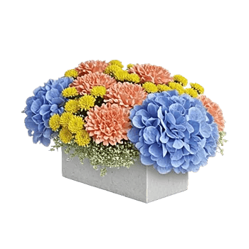 Delicate Petal Cascade