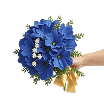 Sapphire Bloom Whisper