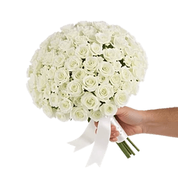 Delicate Petal Cascade