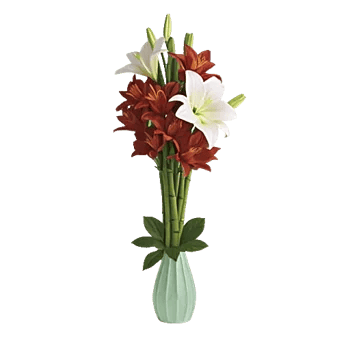 Graceful Lily Display