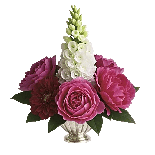 Ivory Blossom Radiance