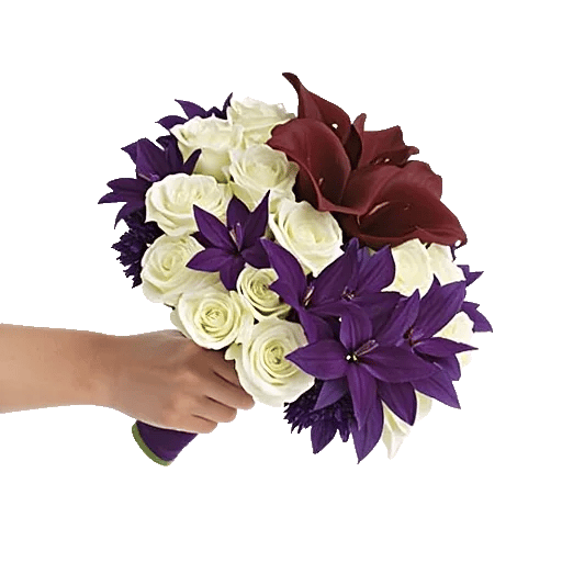 Elegant Calla Lilies