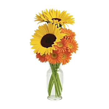 Radiant Bloom Cascade