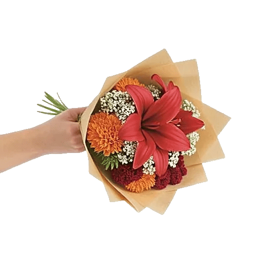 Petal Harmony Bliss
