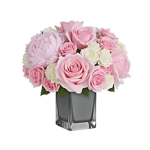 Petal Radiance Bliss