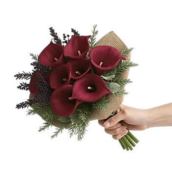 Elegant Calla Lilies