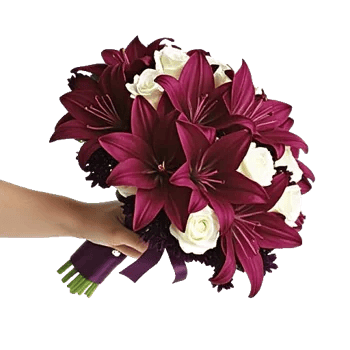 Blushing Rose Symphony