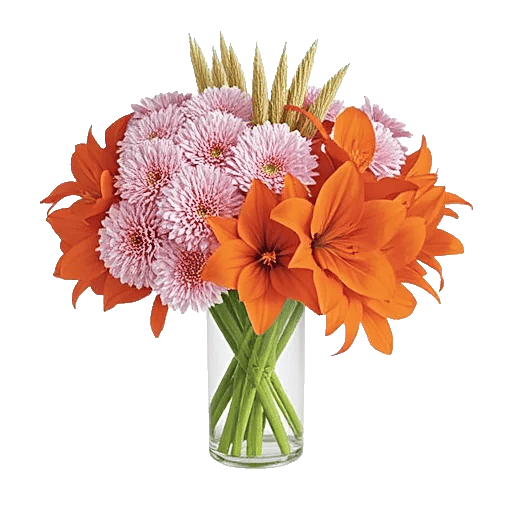 Petal Radiance Bliss