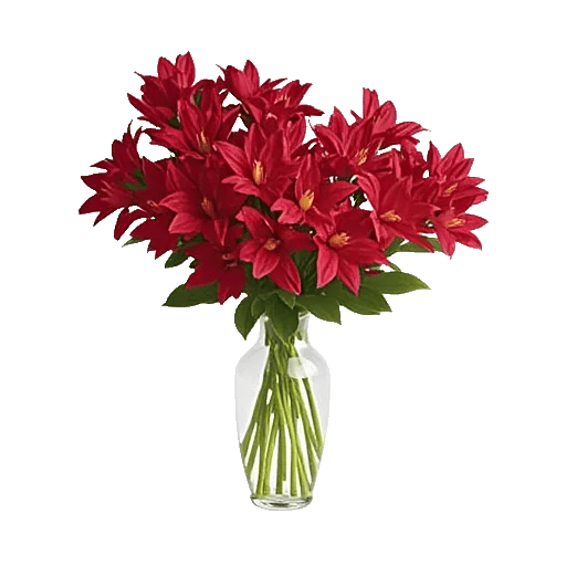 Crimson Blossom Harmony