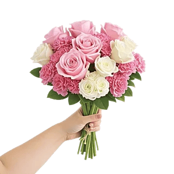 Pastel Pink Roses