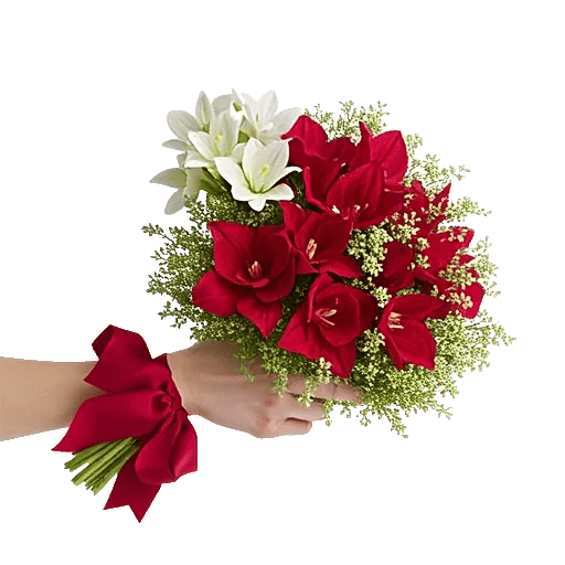 Ivory Blossom Radiance