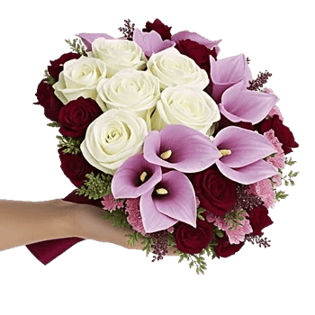 Elegant Calla Lilies