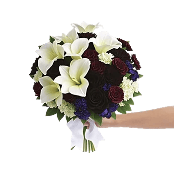 Delicate Petal Cascade