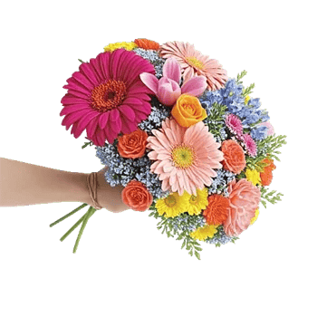 Blossom Petal Serenity