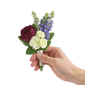 Plum Blossom Radiance