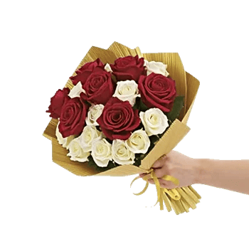 Crimson Rose Elegance