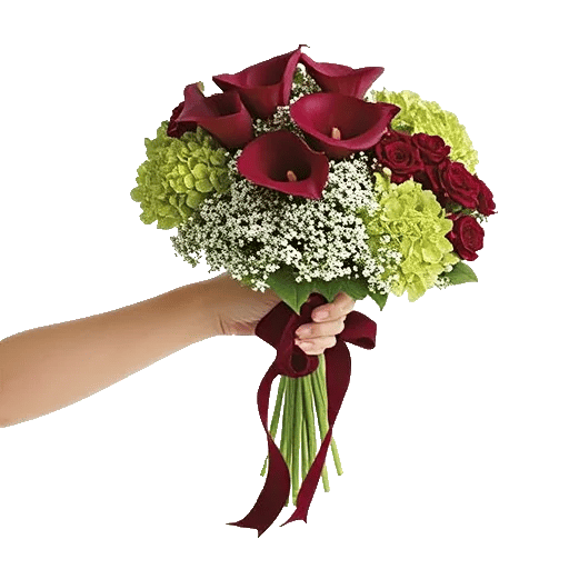 Elegant Calla Lilies