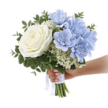 Blossom Petal Serenity