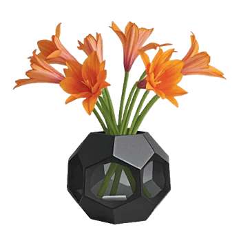 Petal Radiance Bliss