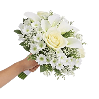 Ivory Garden Grace