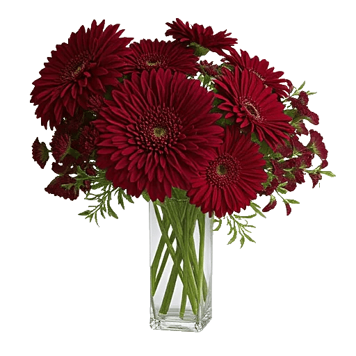 Crimson Blossom Harmony