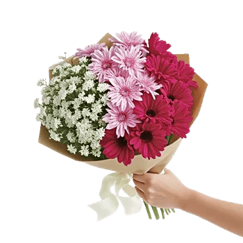 Petal Whisper Symphony