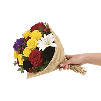 Blossom Harmony Display