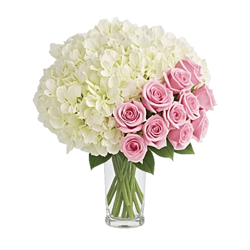 Ivory Blossom Radiance