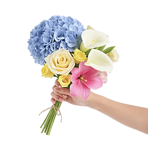 Serene Petal Harmony